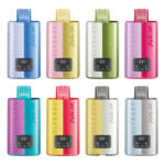 Elf Bar Dual 10K Vape Kit